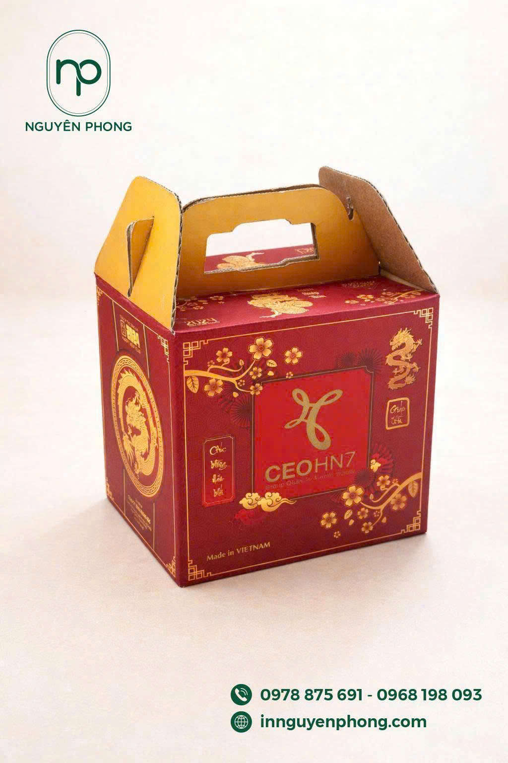 Mẫu hộp carton thiết kế quai cầm